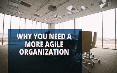 Why You Need a More Agile Organization